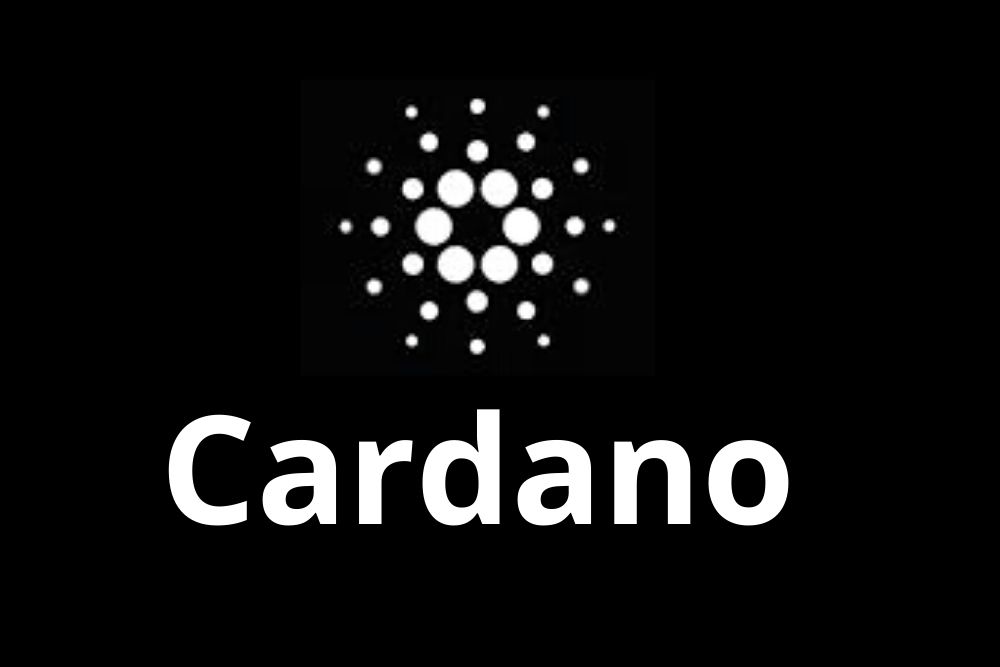 Head of Stakeholder Relations & Business Hacking at Cardano Foundation - Cryptocurrency Jobs