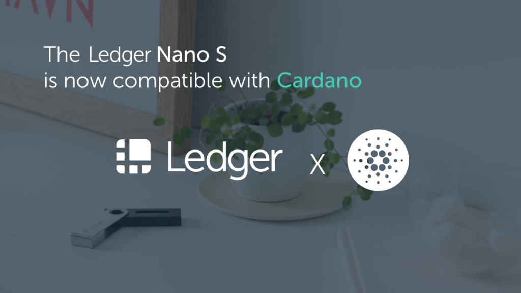 Staking Cardano on Ledger? Our Guide can Help!