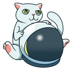 Convert 1 CAT to USD (CATECOIN to US Dollar) - BitScreener