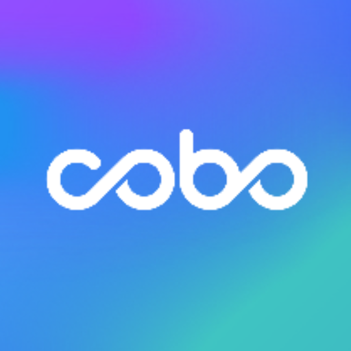 Divly | How to do your Cobo Wallet taxes in 