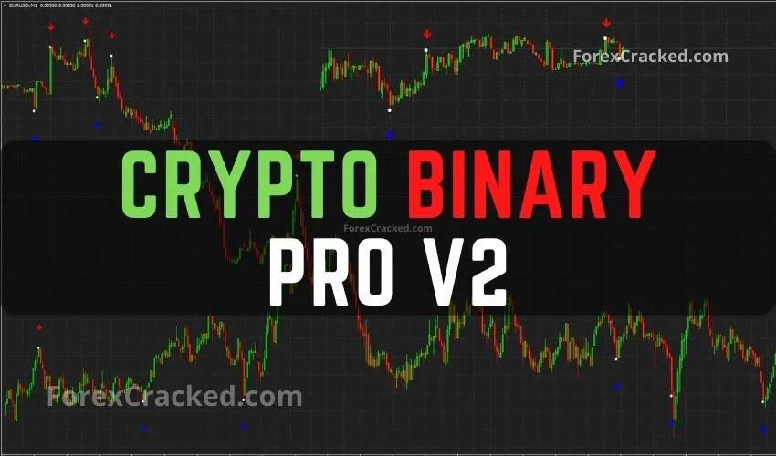 Crypto Binary Options Trading | Investing Tips | Best Brokers