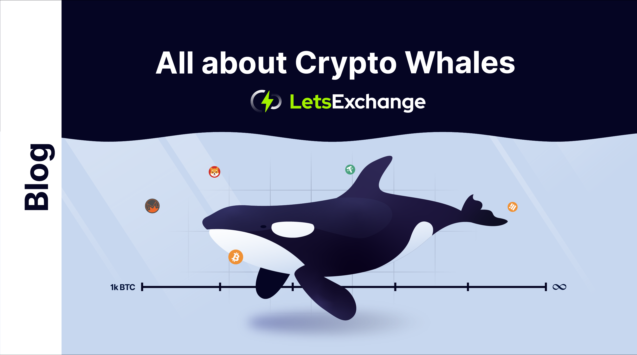 What Are Crypto Whales and Can They Manipulate Prices?