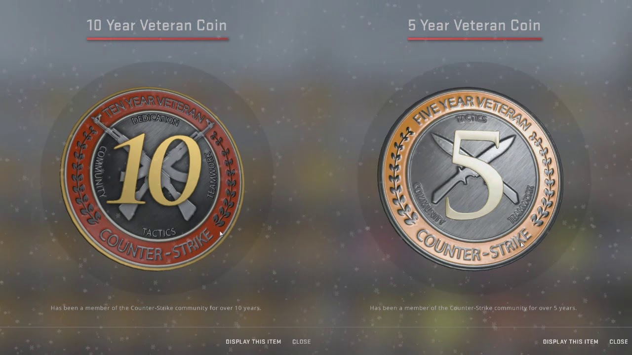 CSGO CS GO Counter Strike Ten Year Veteran Coin 10 years Medal Coin CS | BonoGifts