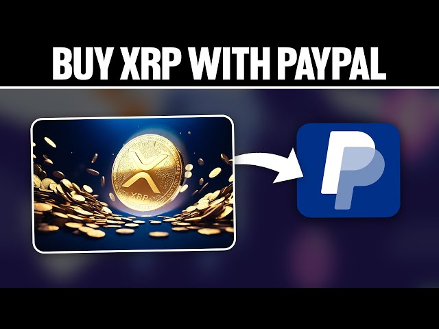 Exchange XRP Ripple XRP to PPEUR PayPal profitable: list of exchangers | CHEXCH