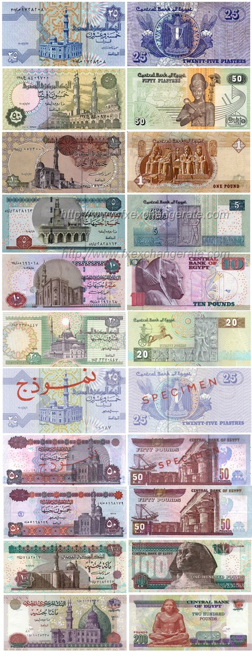 1 EGP to USD | Convert Egyptian Pounds to US Dollars Exchange Rate