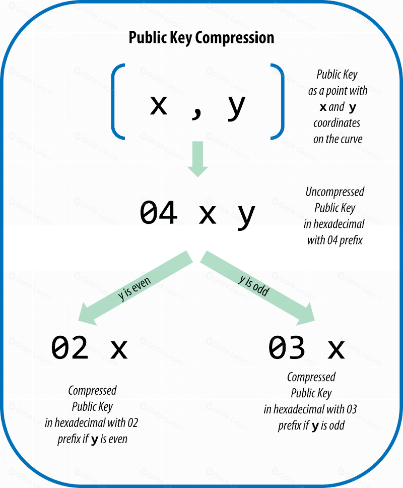 Elliptic-curve cryptography - Wikipedia