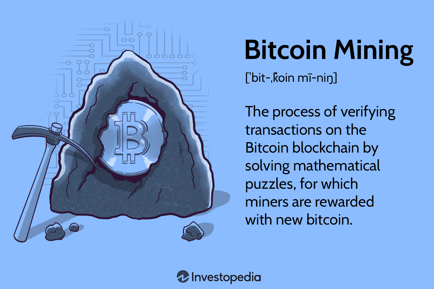 Home - Coin Metrics