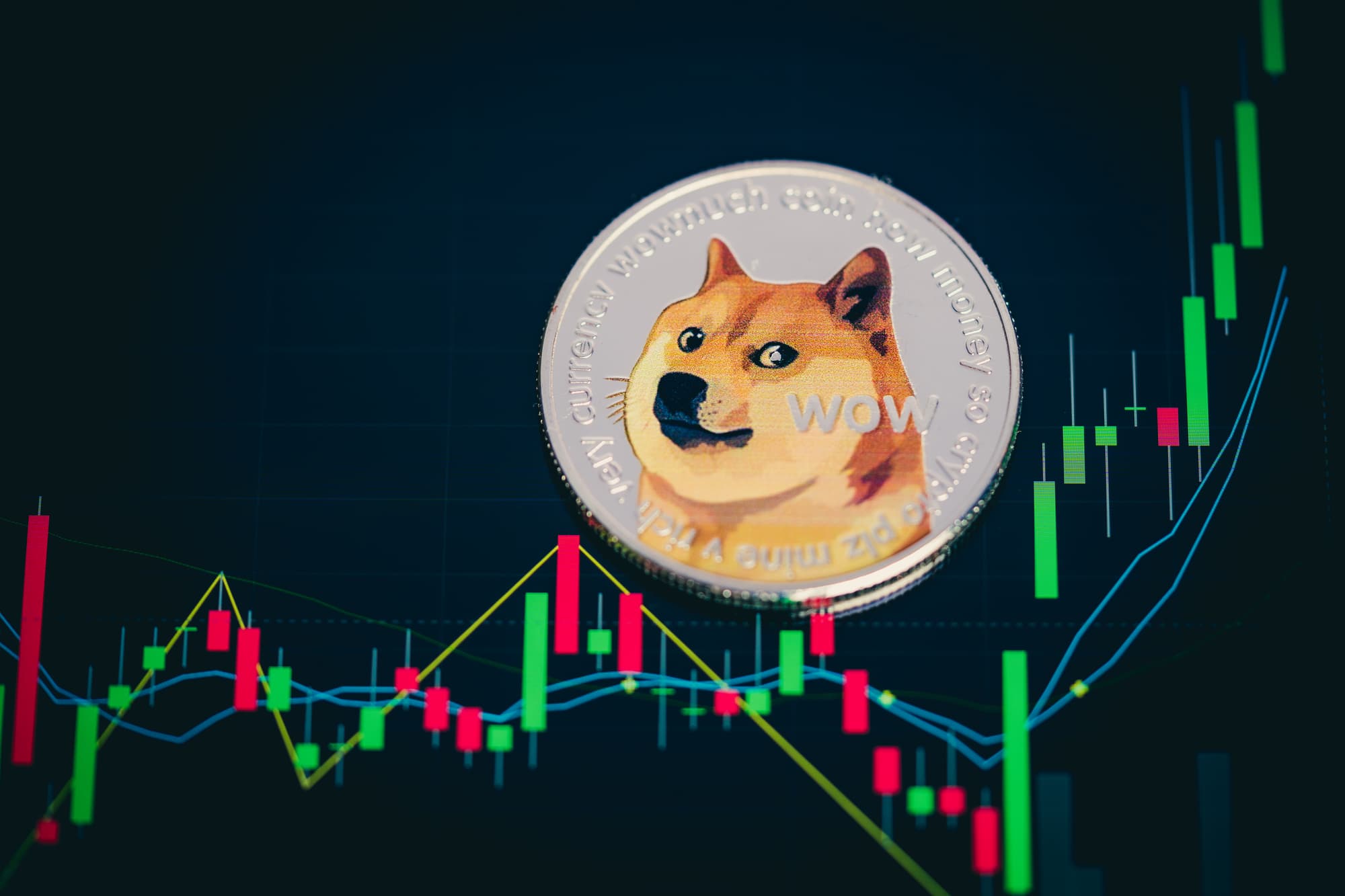 AI Doge Price Today - AIDOGE to US dollar Live - Crypto | Coinranking