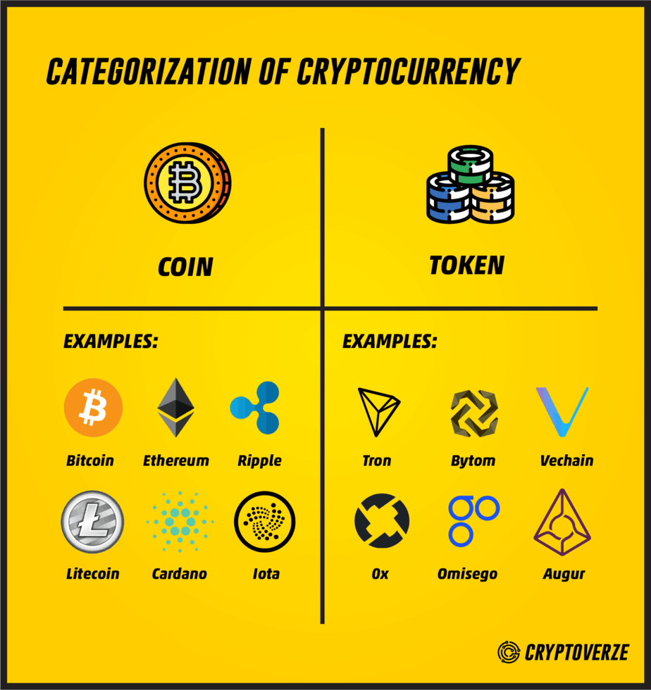 Token vs Coin: Distinctive Features and Key Attributes