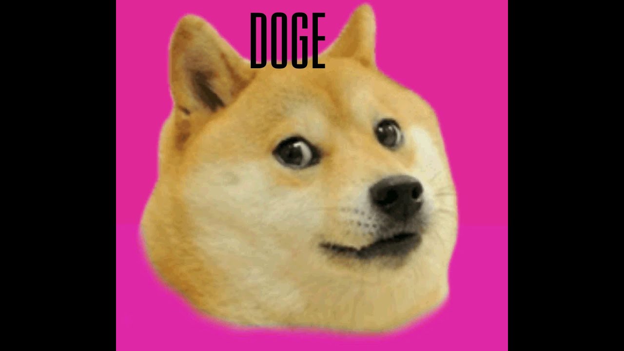 Memebox Radio X Doge Club MEME Song | Manifold