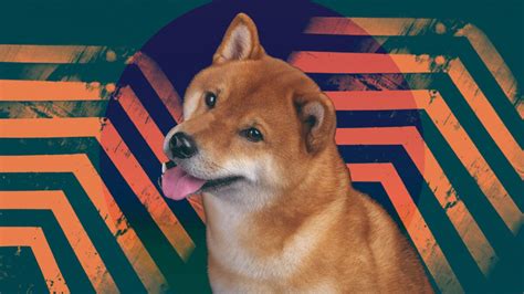 Doge miner | tctcstuff