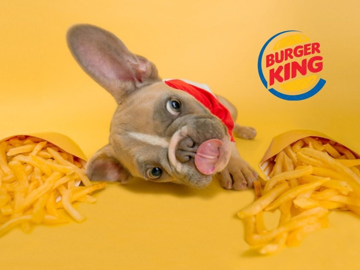 Dogecoin (DOGE) Statement Made by Burger King UK Delights Community