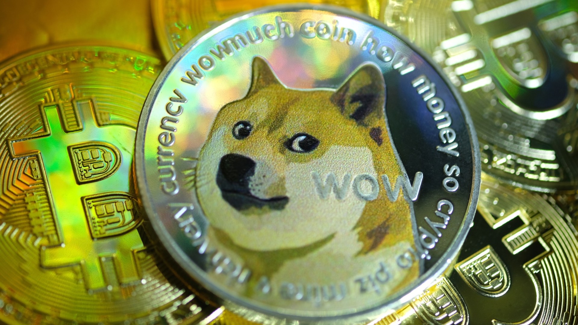 Dogecoin Price (DOGE INR) | Dogecoin Price in India Today & News (16th March ) - Gadgets 