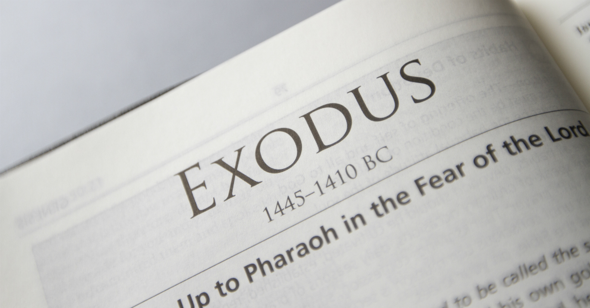 EXODUS | definition in the Cambridge English Dictionary
