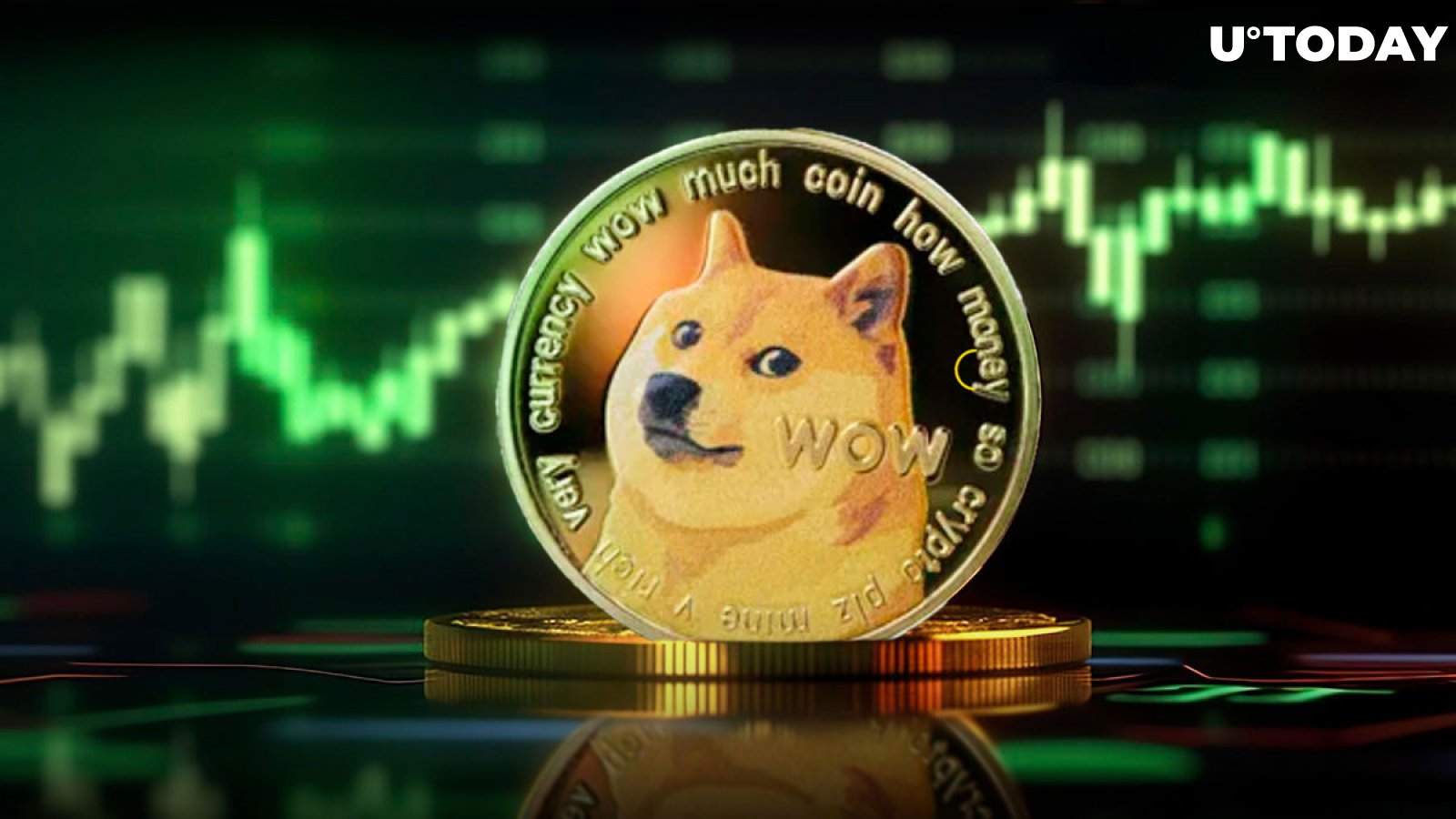 Convert Dogecoin to New Zealand Dollar