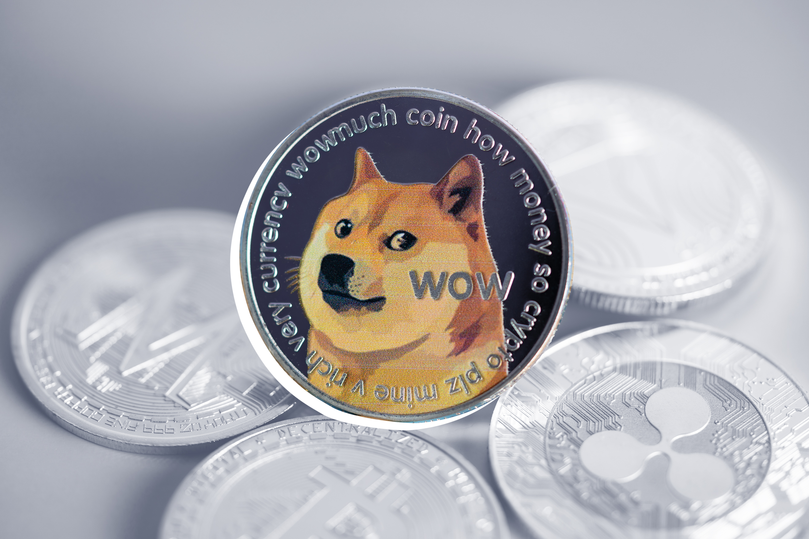 Should You Invest in Dogecoin? 4 Key Questions to Consider