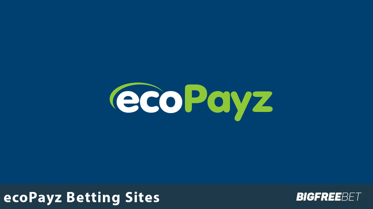 EcoPayz | Gambling E-Wallet | Pros & Cons — Punter2Pro