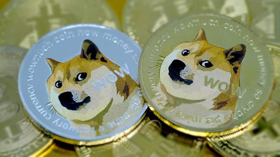 Elon Musk warns investors not to ‘bet the farm on Dogecoin’ | Fortune Crypto