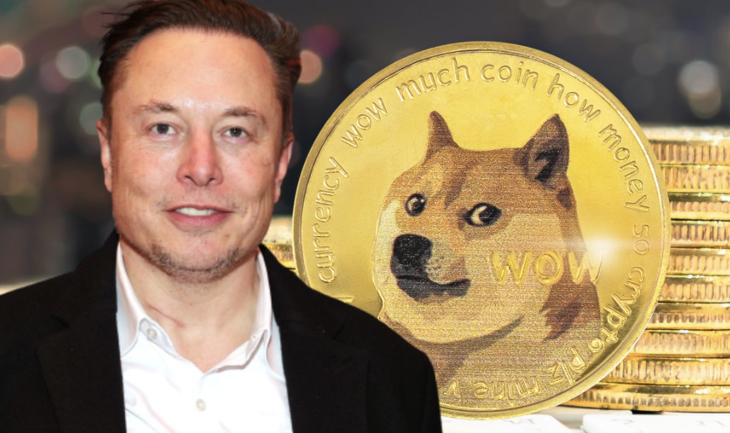 Elon Musk discloses that Tesla owns Dogecoin but how much?