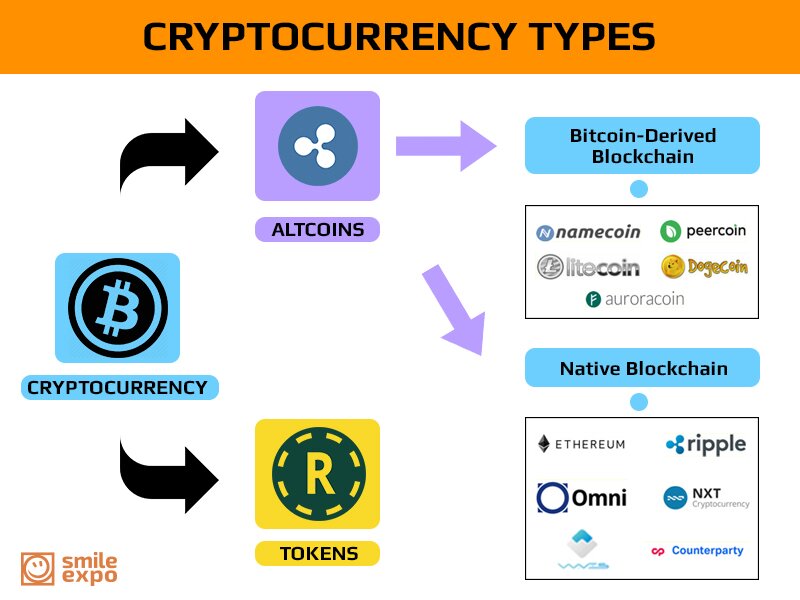 Crypto Coins and Tokens: Their Use-Cases Explained | Ledger