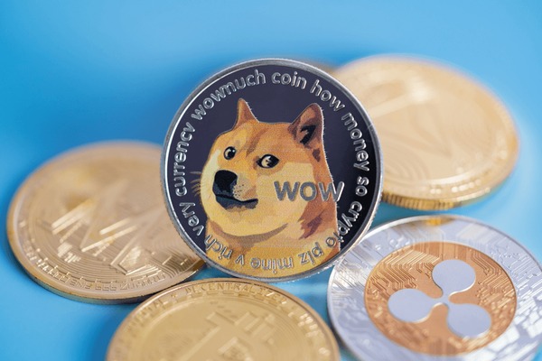 Earn Free DOGECOIN in India | BuyUcoin