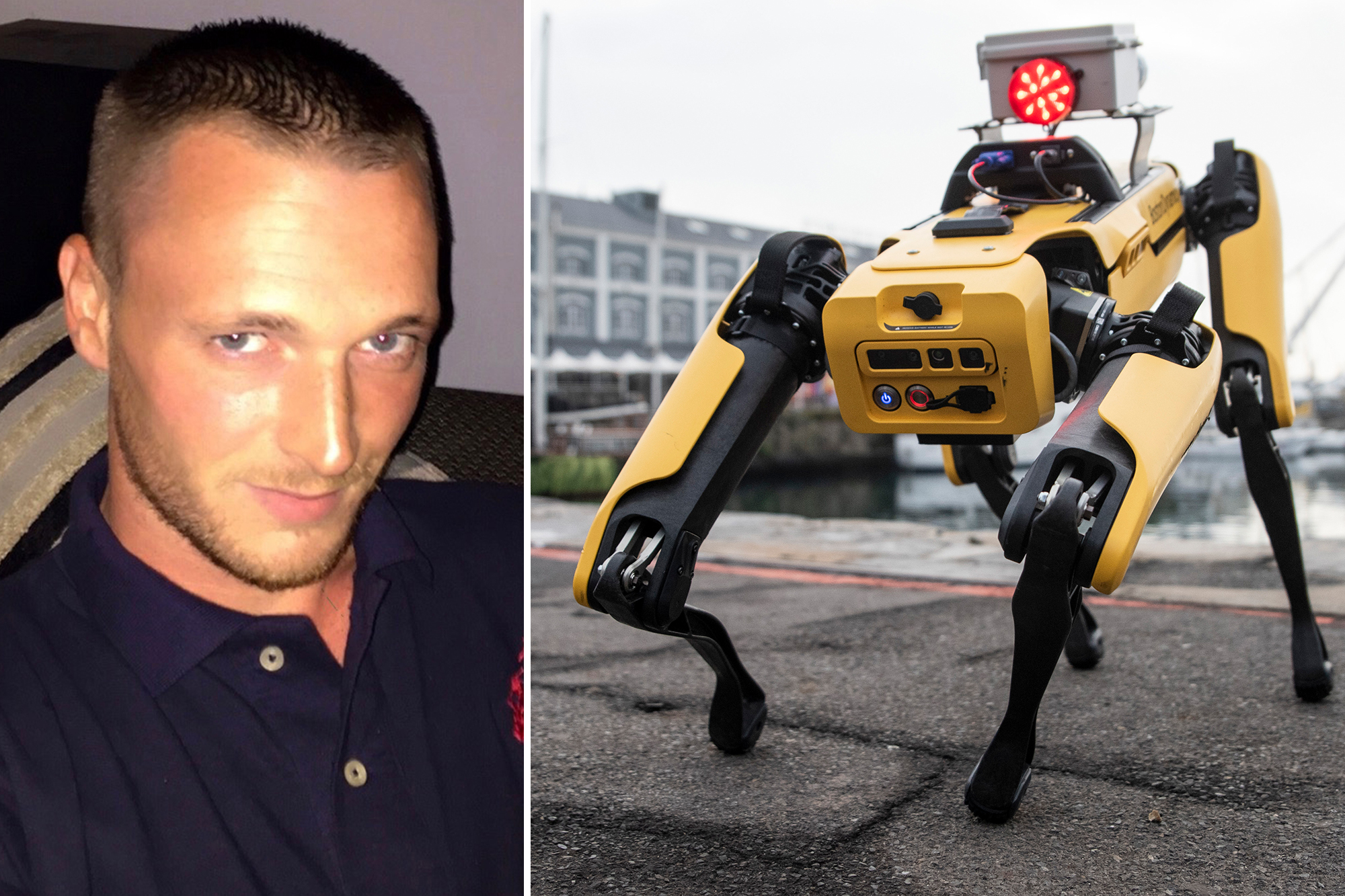 Man Who Lost $ Million in Bitcoin Wants to Use a Robot Dog to Find It - cryptolog.fun