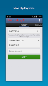 Make P2P and B2B payment with Perfect Money