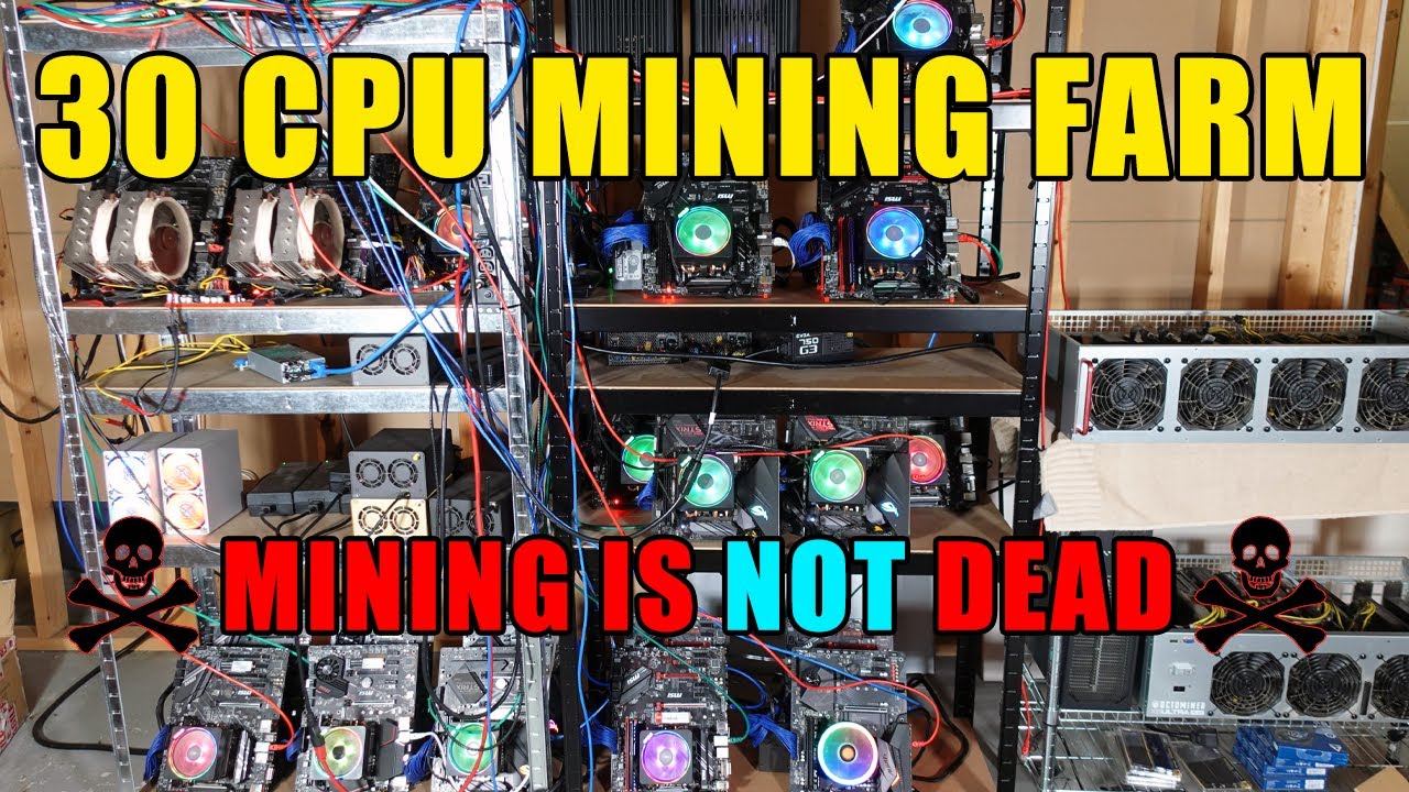 Crypto Mining Hardware: Exploring CPU’s, GPU’s, and ASIC’s