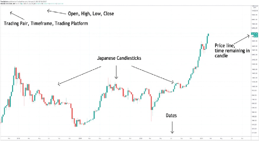 How To Read Crypto Candlestick Charts | Ledger