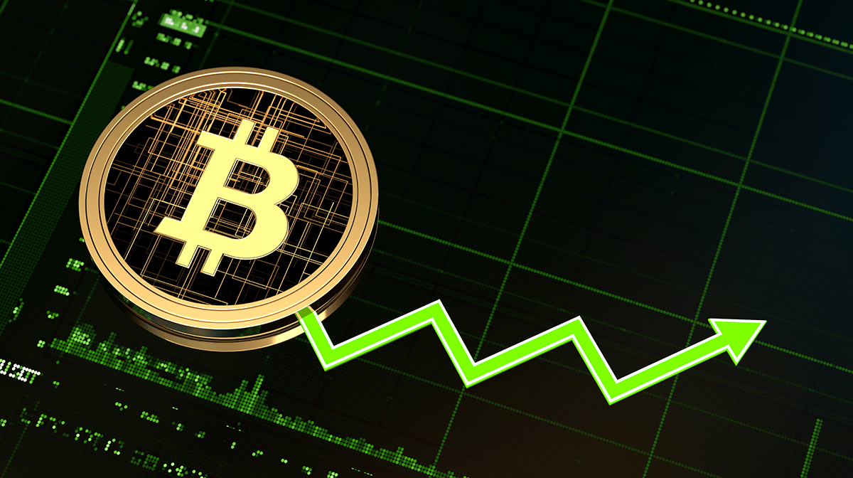 What Determines Bitcoin's Price?