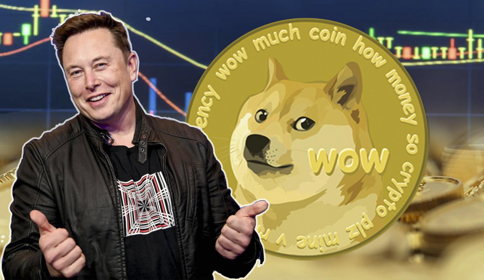 Elon Musk is accused of insider trading by investors in Dogecoin lawsuit | Reuters