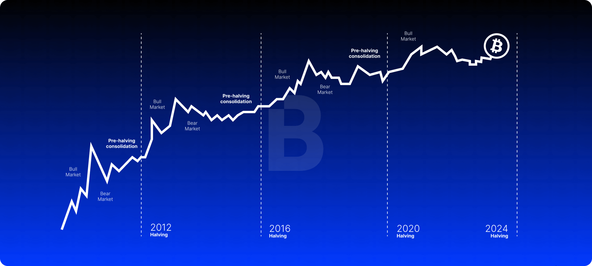 The year bitcoin went institutional