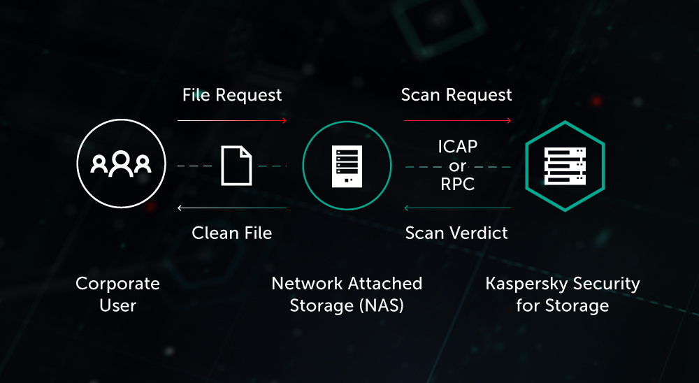 Phishing scams that target hot and cold crypto wallets | Securelist