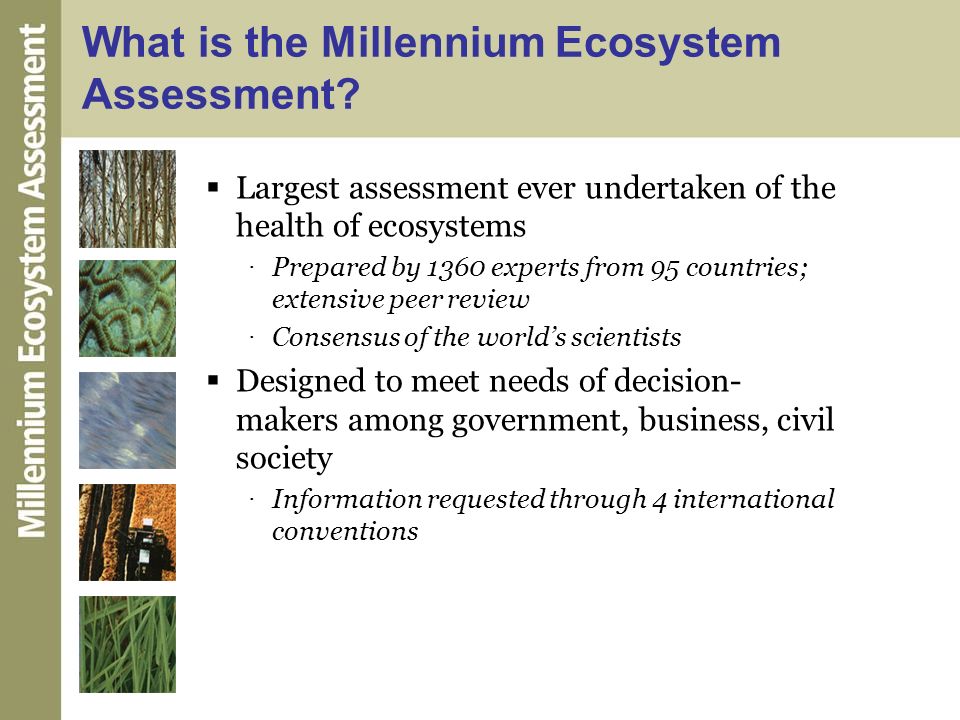 EHPnet: Millennium Ecosystem Assessment - PMC