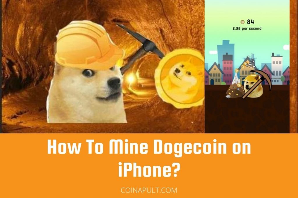 Dogecoin Price | DOGE Price Index and Live Chart - CoinDesk