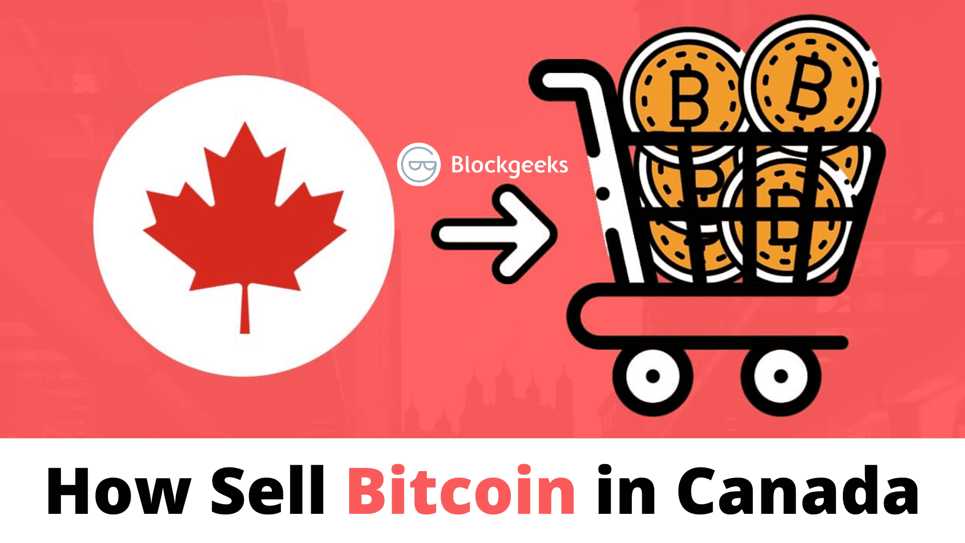 7 Best Crypto Exchanges in Canada - March (Free $20 Sign Up Bonus)