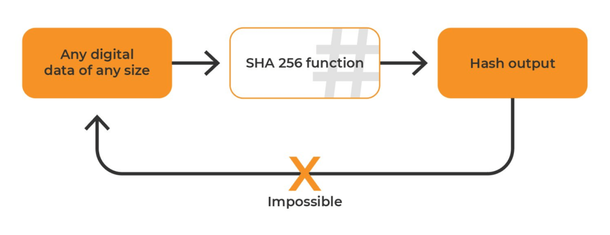 Compare electrical efficiency on specific algorithms | ASIC Miner Value