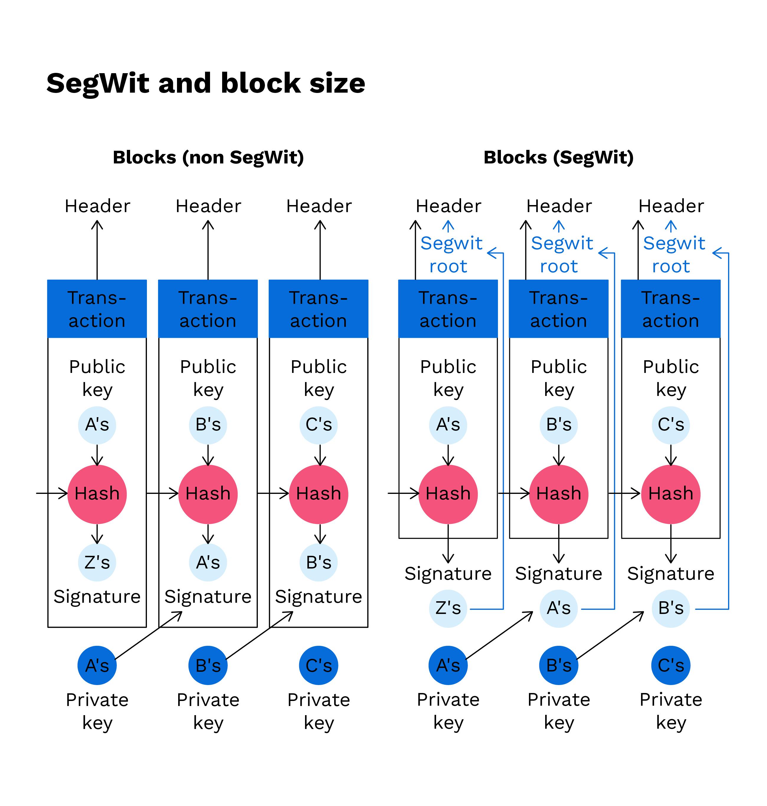 SegWit and Native SegWit (Bech32) -What's the Difference? | Ledger