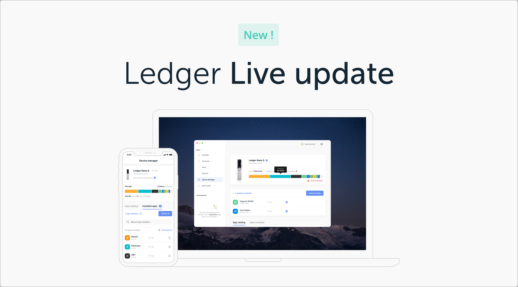 Ledger Nano S Plus vs. X: Which Should You Choose?