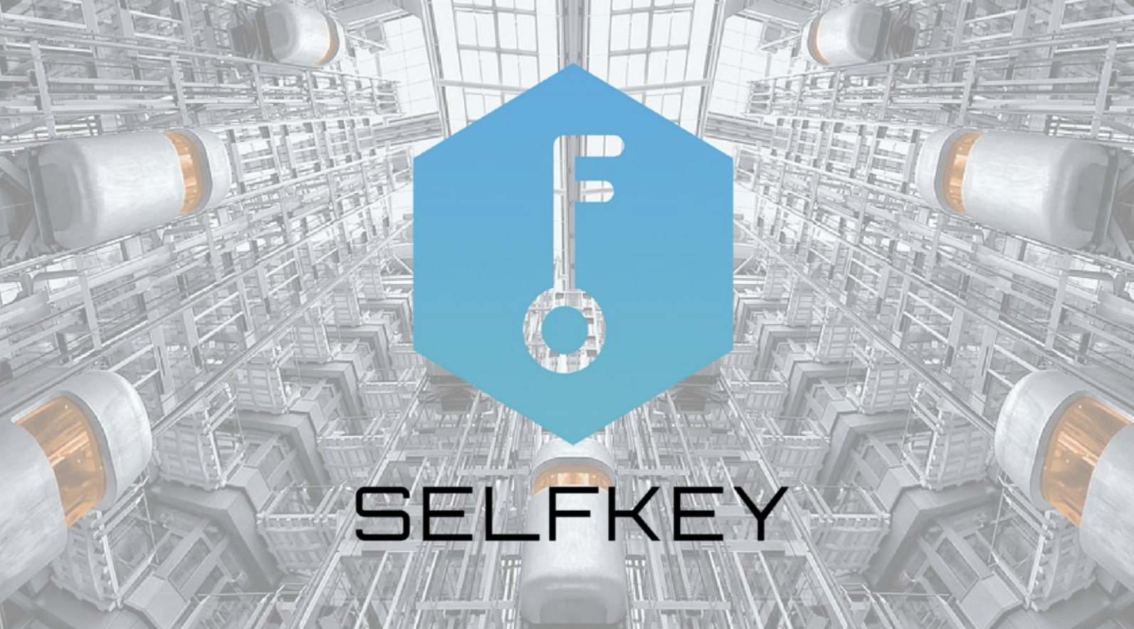 What is SelfKey (KEY)? | A Beginner's Guide - CoinCentral