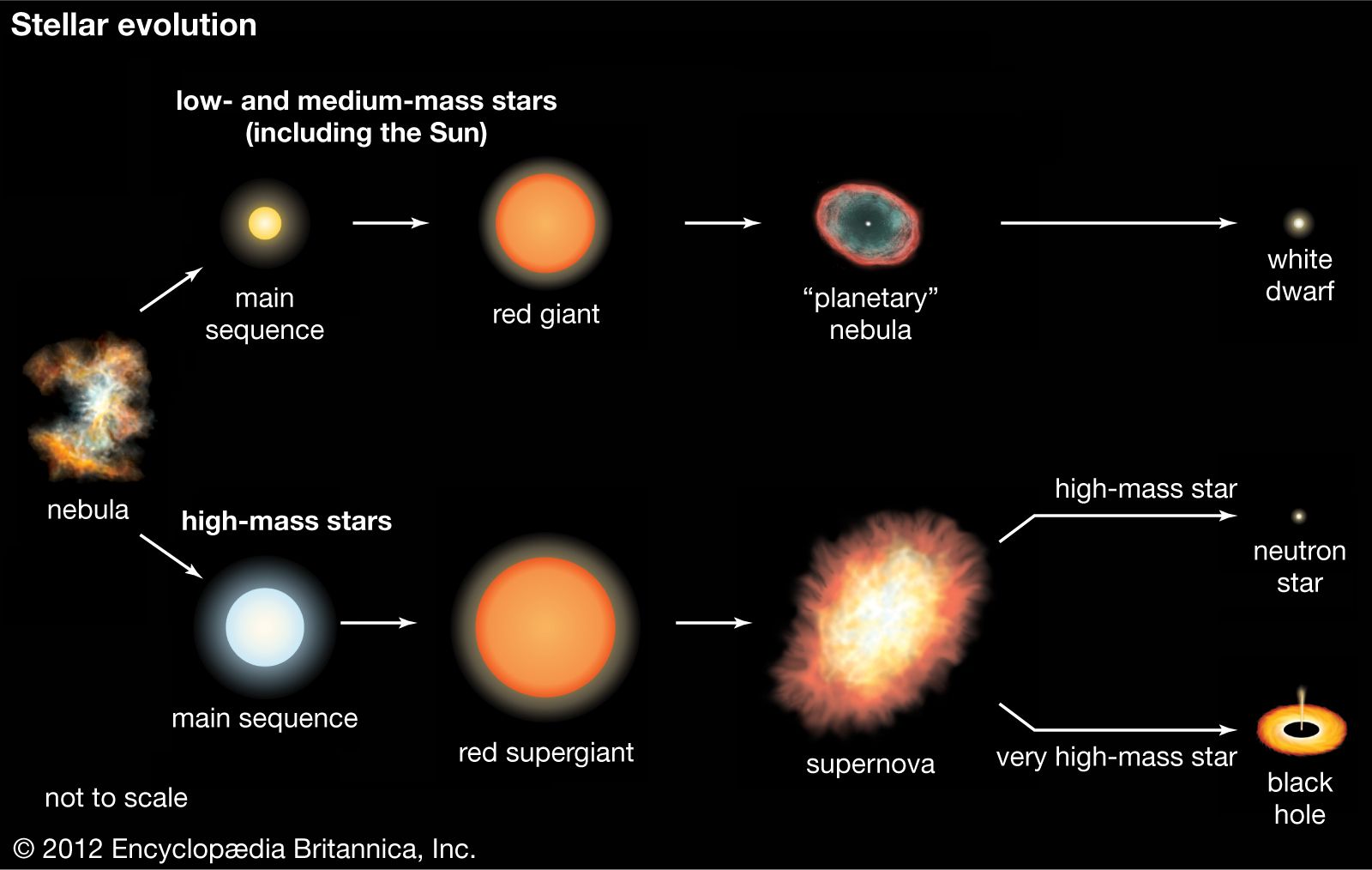 Stellar Evolution Theory (SET) - HITS