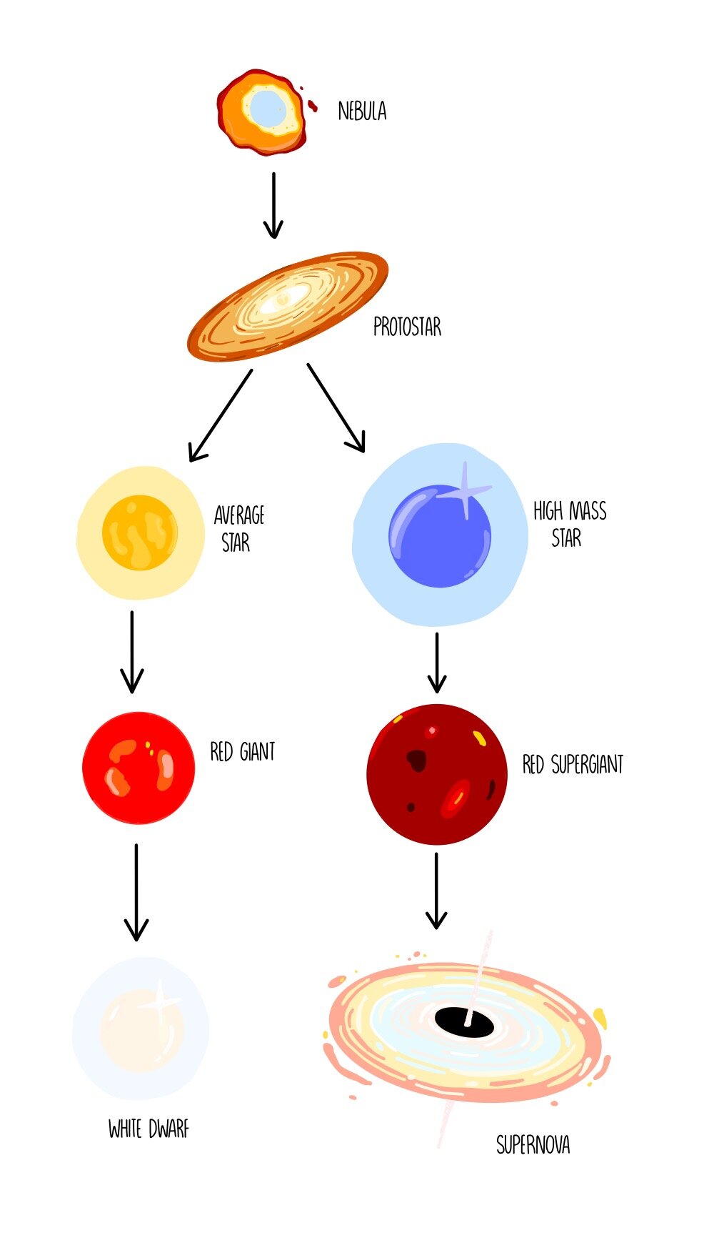 Astronomy - Stellar Evolution