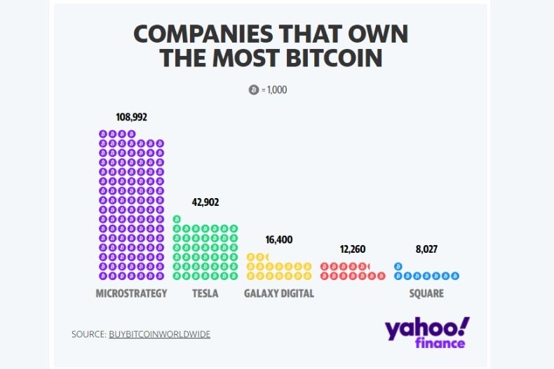 Who owns the most cryptocurrency?