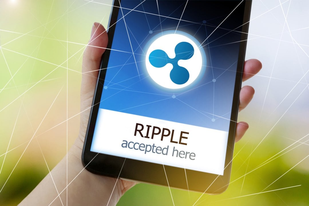 Accepting XRP as Payment: A Guide for Businesses • Blog Cryptomus