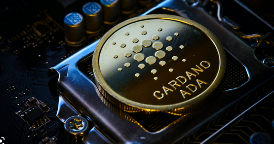 Is Cardano a Good Investment? - Benzinga