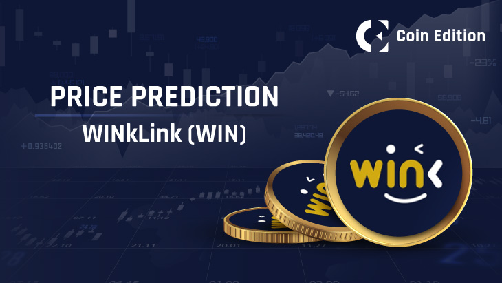 Wink Plans and Pricing