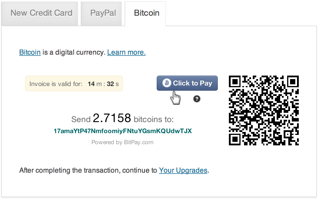 Best Plugins to Accept Bitcoin Payments in WordPress - Top 5